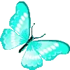 🦋