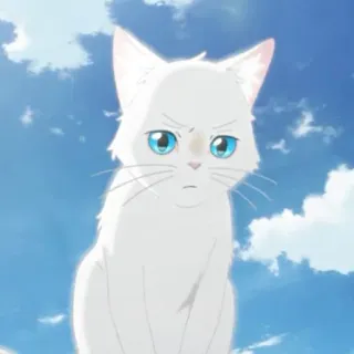 🎗 белый кот, аниме, голубые глаза, милый, стикер, животное telegram sticker
