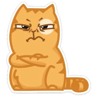 😡 chat, en colère, mignon, grincheux telegram sticker