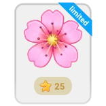 🎁 limited kwiat, kwiat wiśni, różowy, gwiazda, limitowany whatsapp sticker