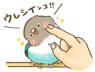 🦜 ウレシイショ！！ pássaro, fofo, animal, kawaii, mão telegram sticker