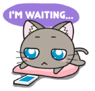 📱 I'M WAITING... gato, esperando, fofo, animal, animal de estimação, preguiçoso whatsapp sticker