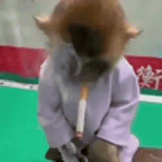 🚬