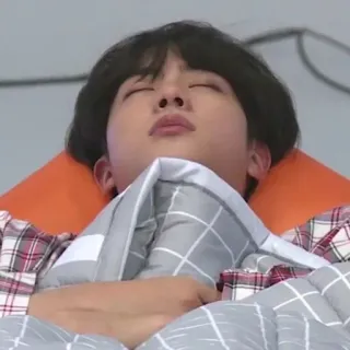 🎄 sleeping, person, Jin, BTS telegram sticker