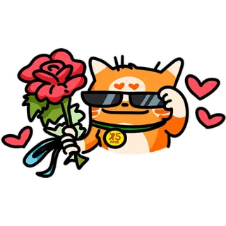 😎 고양이, 장미, 사랑, 발렌타인 데이, 선글라스, 멋진 telegram sticker