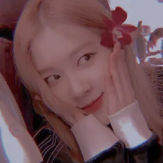 🐿️ Rose Rosa, K-pop, cantante, fiore, carino, ritratto, ragazza, bellezza telegram sticker