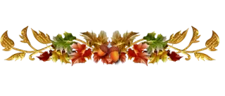 🤧 autumn, fall, leaves, acorns, decoration whatsapp sticker