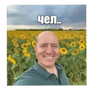 👍 чел.. homme, tournesols, champ, russe, mec, personne, portrait telegram sticker