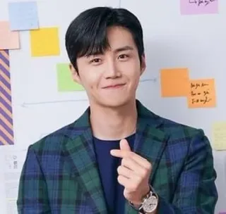 @jonafzan Kim Seon Ho 김선호 Kim Sun Ho telegram stickers