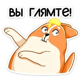 👀 ВЫ ГЛЯНТЕ! หมา, เนย, การ์ตูน, สัตว์, ตลก telegram sticker