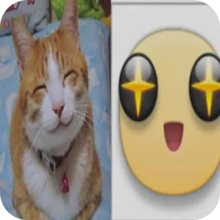 🐱 猫, 表情符号, 可爱, 开心, 宠物, 动物 telegram sticker