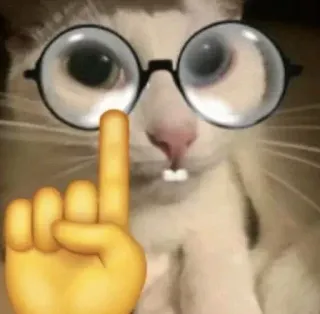 🤓 doigt d'honneur, emoji, chat, lunettes, offensant, grossier telegram sticker