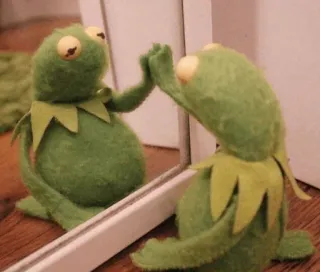 ✋ Kermit the Frog Kermit, Frog, Muppets, Reflection, Mirror telegram sticker