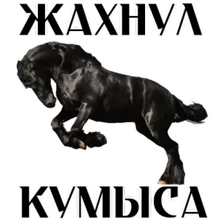 Stickers With Horses @stickersb2b telegram stickers
