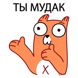 😏 ТЫ МУДАК cartoon, eekhoorn, slang, belediging telegram sticker