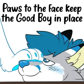 🐾 Paws to the face keep the Good Boy in place telegram sticker