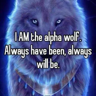 💪 I AM the alpha wolf. Always have been, always will be. wolf, alpha, animal, leader, determination telegram sticker