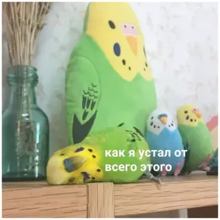 😩 как я устал от всего этого นก, เหนื่อย, นกแก้ว, ตุ๊กตา, ตลก telegram sticker