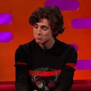 😎 Timothée Chalamet актер, знаменитость, портрет, мужчина whatsapp sticker