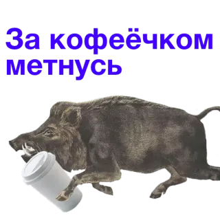 ☕ За кофеёчком метнусь jabalí, café, animal, correr, taza telegram sticker