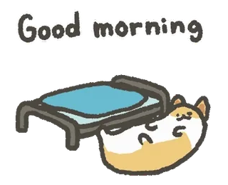 👋 Good morning gatto, letto, mattina, buongiorno, carino, animale, animale domestico telegram sticker