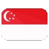 🇸🇬