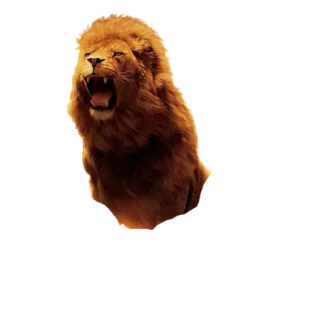 🦁 Löwe, Tier, wild, Wildtier, Säugetier, brüllen telegram sticker