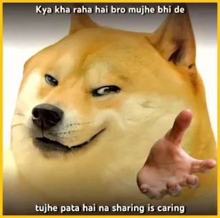 🌟 Doge Kya kha raha hai bro mujhe bhi de, tujhe pata hai na sharing is caring doge, meme, funny dog, sharing, hungry, cute, shiba inu, internet culture telegram sticker