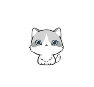 💘 cat, kitten, cute, animal, pet, sticker telegram sticker