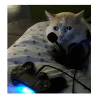 😢 kucing, gamer, mikrofon, stik, gaming, binatang telegram sticker