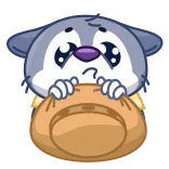 ๐ฅบ