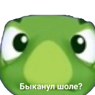 🤨 Быканул шоле? tartaruga, verde, russo, frase telegram sticker