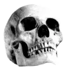 💀