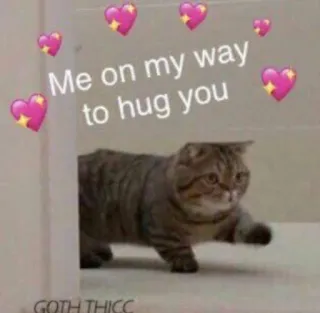 💗 Me on my way to hug you GOTH THICC kucing, peluk, hati, penyayang, gothic, berisi, meme telegram sticker
