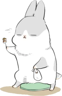 🍢 królik, słodki, zwierzę, kreskówka, zajączek, kawaii telegram sticker