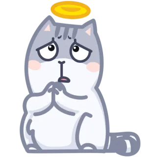 🌟 gato, anjo, triste, fofo, implorando telegram sticker