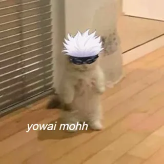 😏 yowai mohh แมว, มีม, อนิเมะ, โกะโจ ซาโตรุ, มหาเวทย์ผนึกมาร telegram sticker