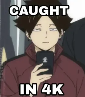 ❇️ CAUGHT IN 4K anime, screenshot, meme, caught in 4k telegram sticker