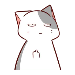 🖕 cat, middle finger, offensive, rude, animal telegram sticker