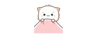 🥶 gato, lindo, animal, kawaii whatsapp sticker