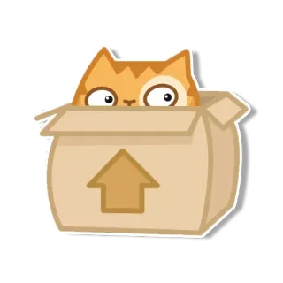 😶 gato, caja, gatito, animal, lindo telegram sticker