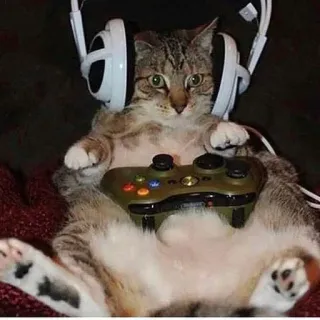 🎮 cat, gamer, controller, headphones, animal, pet, funny telegram sticker
