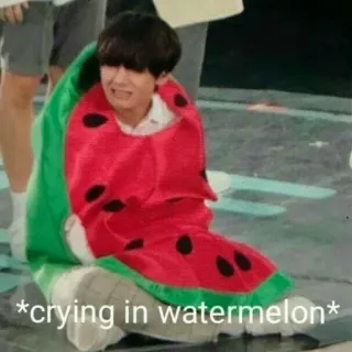 🎭 *crying in watermelon* pastèque, pleurer, triste, emoji, mème, fruit telegram sticker