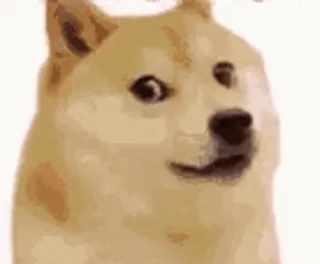 😳 doge, dog, meme, shiba inu telegram sticker