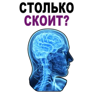 😉 СТОЛЬКО СКОИТ? brain, how much, question, russian, head, anatomy telegram sticker
