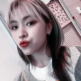 🦩 femme, fille, selfie, portrait, asiatique, mignon, kpop, idole telegram sticker