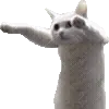 🐱