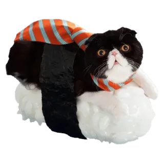 🍣 cat, sushi, animal, cute, pet, food telegram sticker