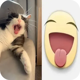 🐱 猫, 表情符号, 打哈欠, 搞笑, 可爱, 动物, 贴纸 telegram sticker