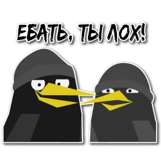 🤠 ЕБАТЬ, ТЫ ЛОХ! insulte, oiseaux, en colère, argot, jurons, dessin animé telegram sticker